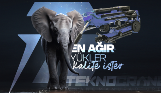 Bursa Kiralık Vinç Güvenilir Seçeneklerle Hızla Yükselin